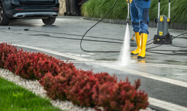 Best Local Pressure Washing Services  in Sun Valley, NV